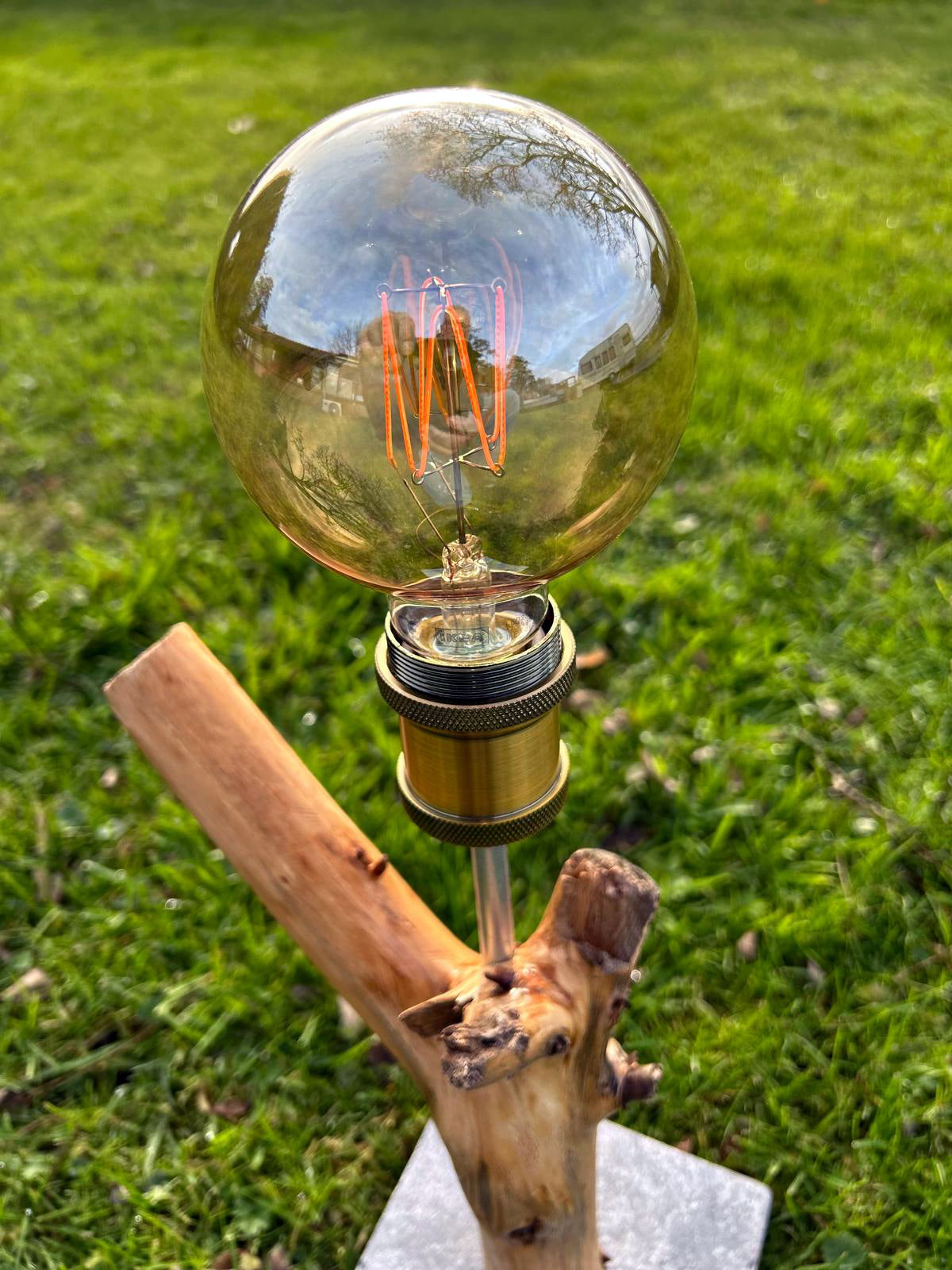 Lamp "The Enlightened Twiglet"