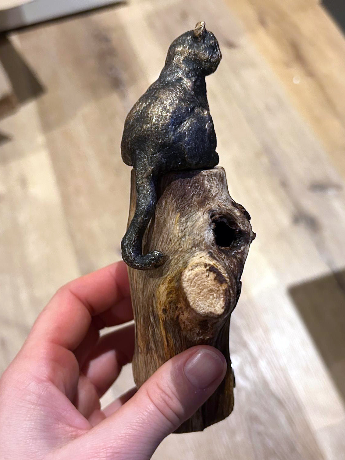 Beeld "Waar de kat waakt"