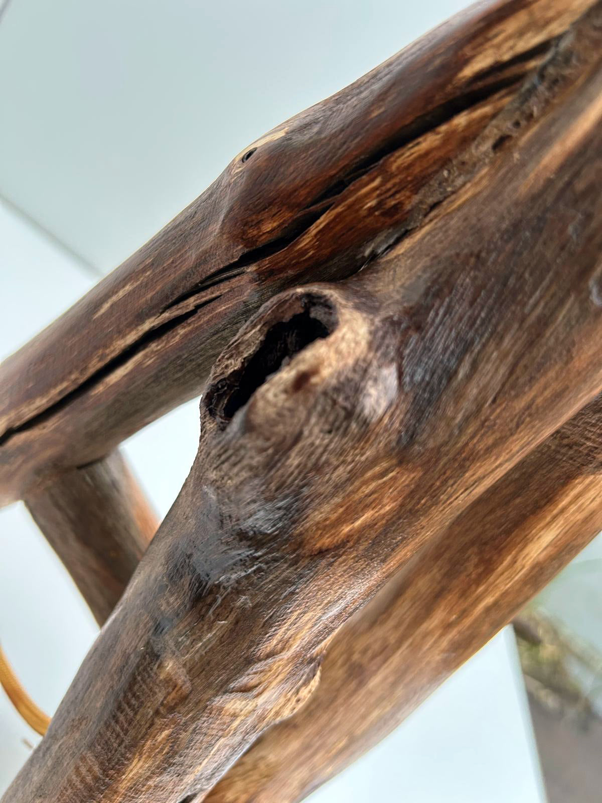 Lamp "Oak Connection"