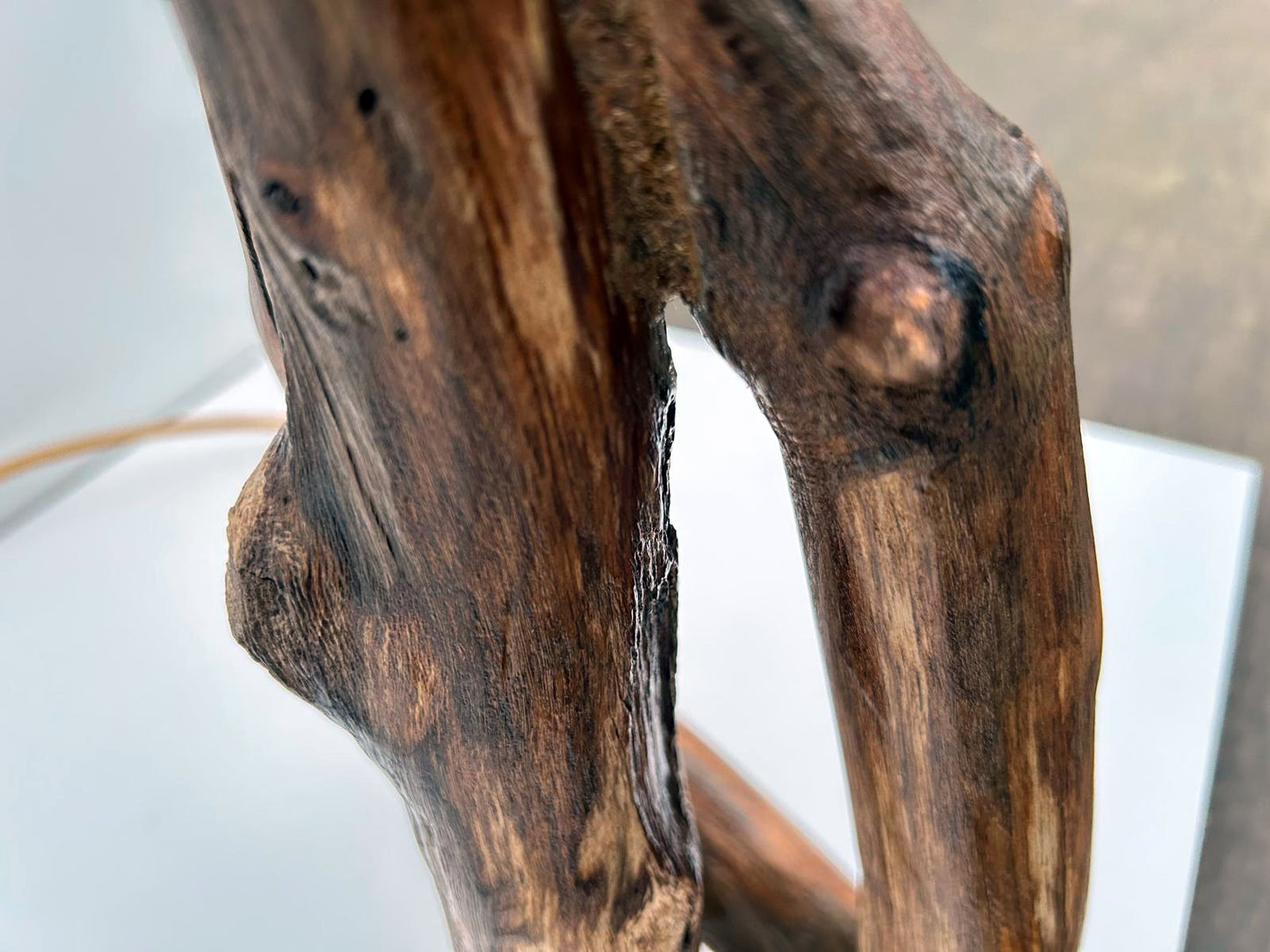 Lamp "Oak Connection"