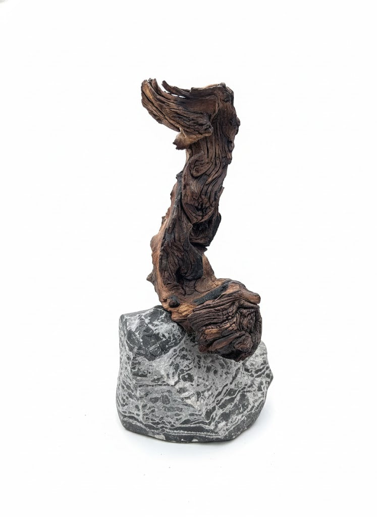 Kunst "Lucky Rootie"