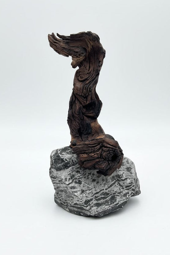 Kunst "Lucky Rootie"