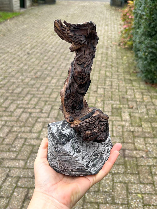 Kunst "Lucky Rootie"