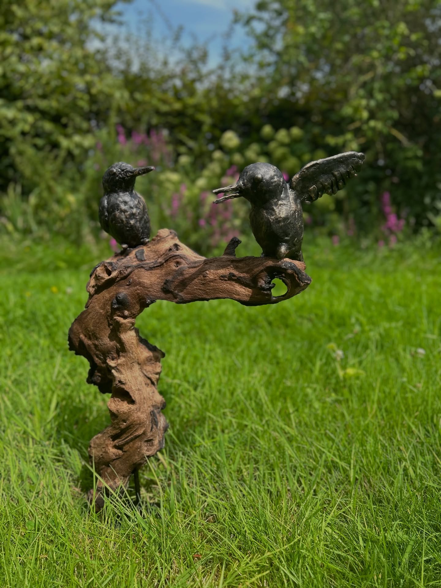 Hout met beeldjes van ijsvogels "Vleugels van vertrouwen"