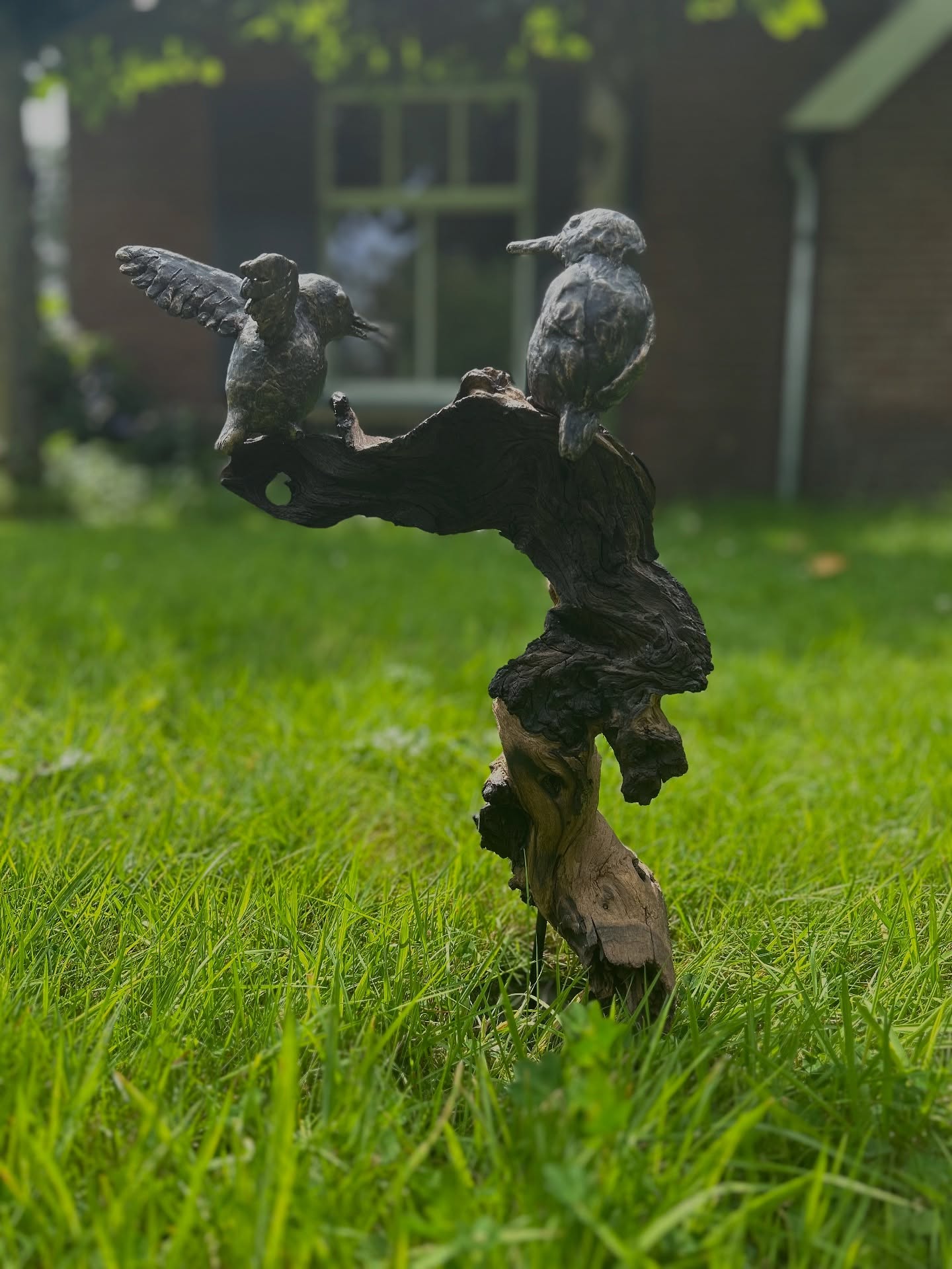 Hout met beeldjes van ijsvogels "Vleugels van vertrouwen"