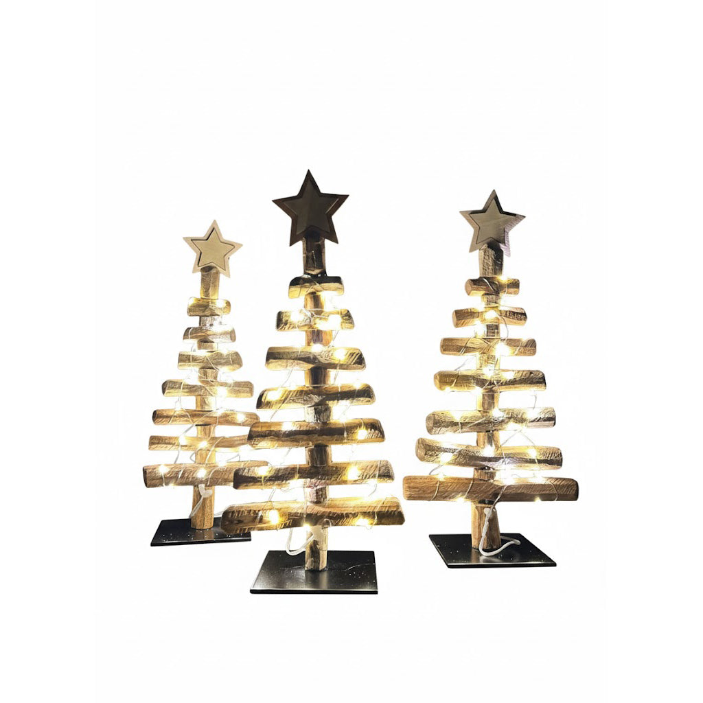 Kerstboom "Eikenlicht"