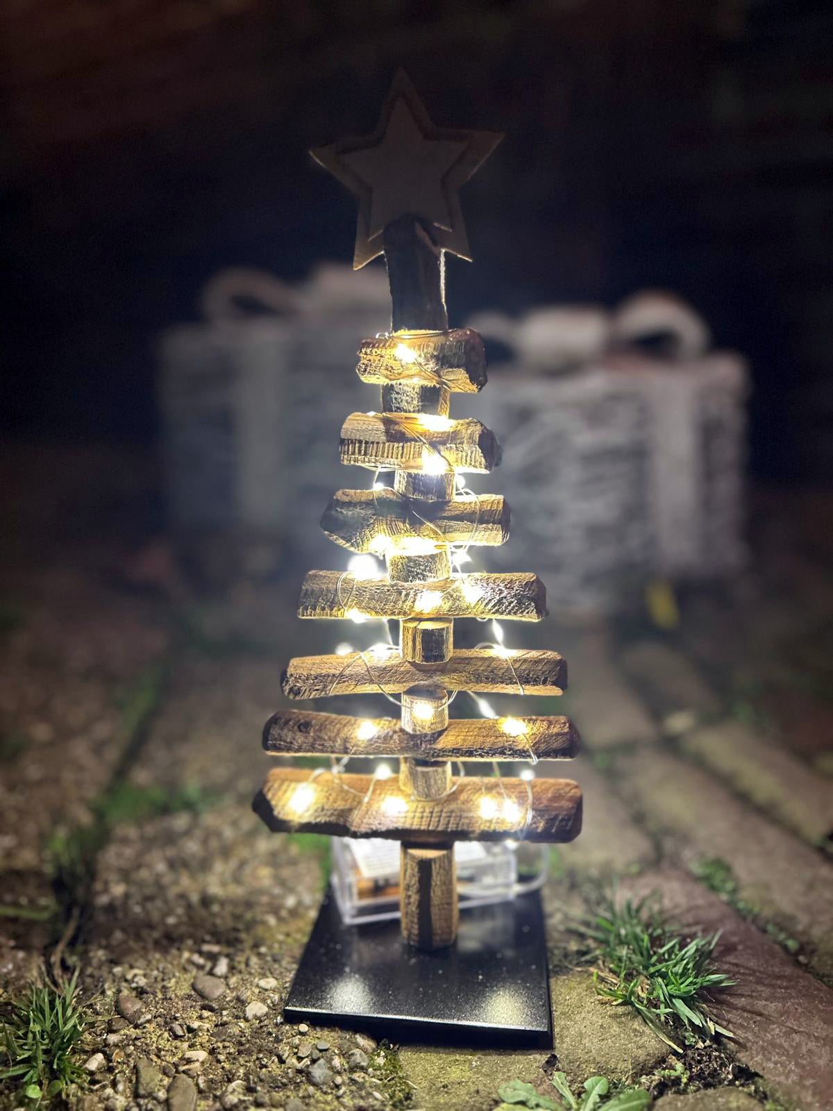 Kerstboom "Eikenlicht"