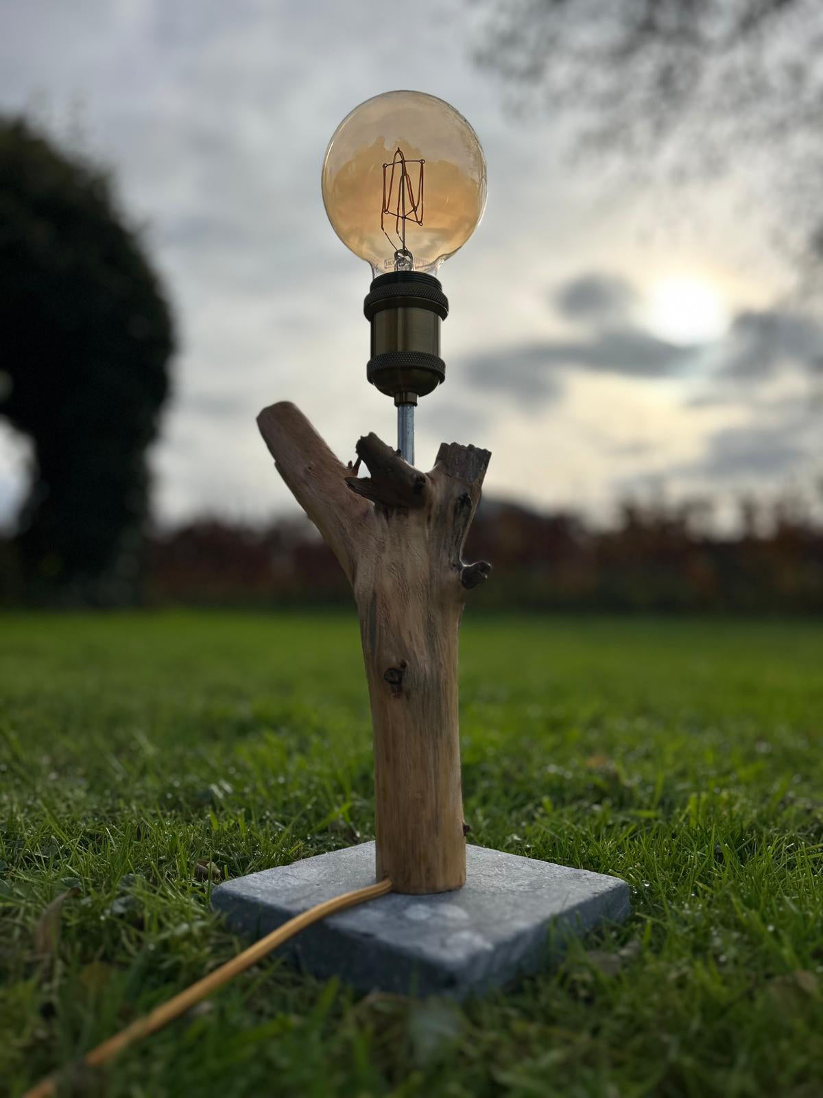 Lamp "The Enlightened Twiglet"