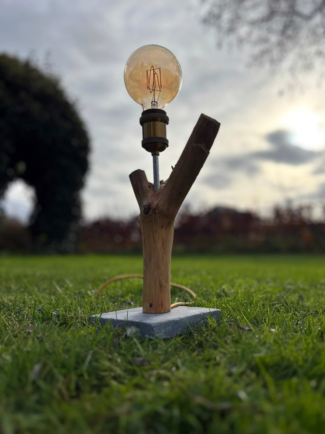 Lamp "The Enlightened Twiglet"