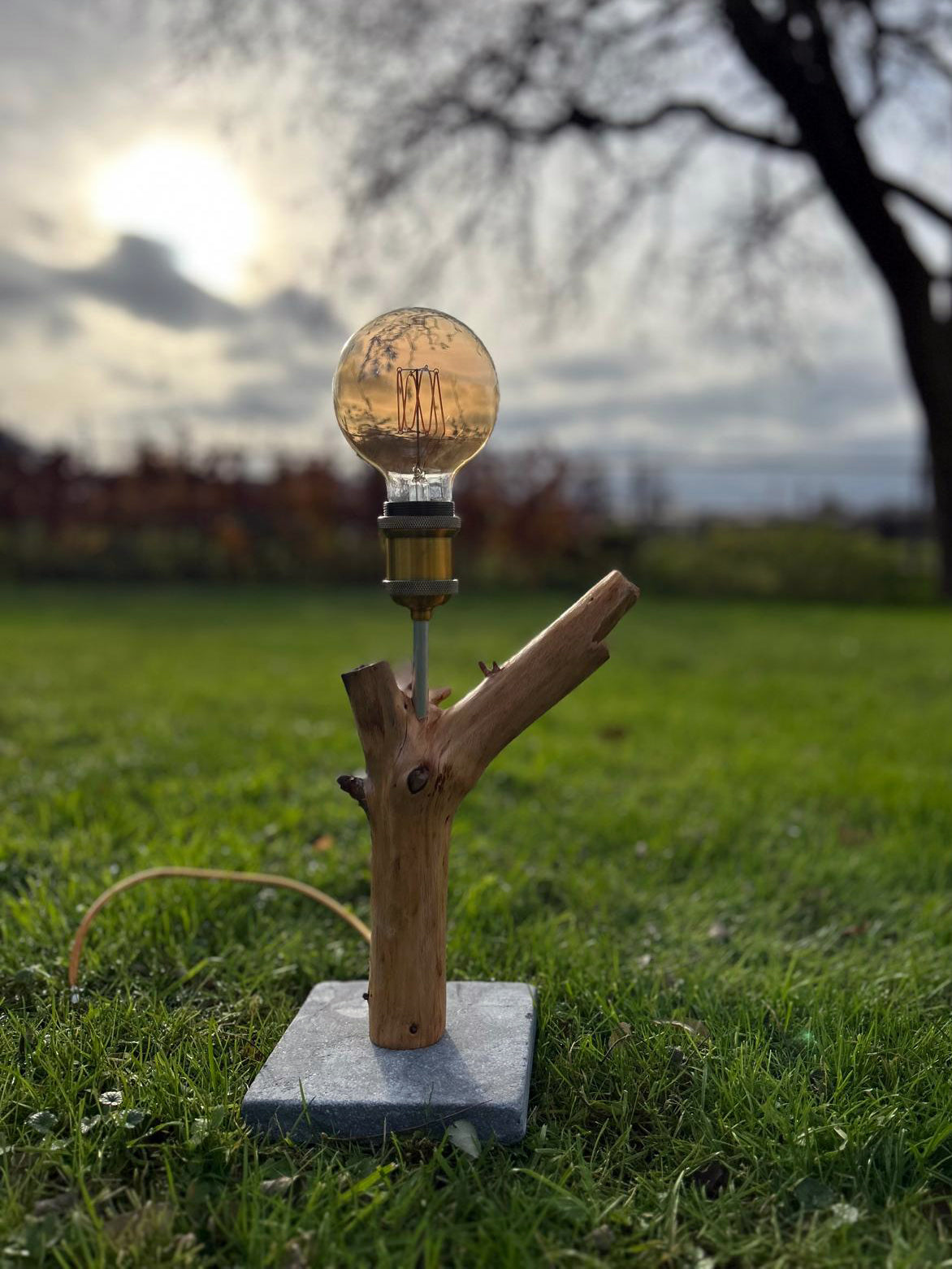 Lamp "The Enlightened Twiglet"