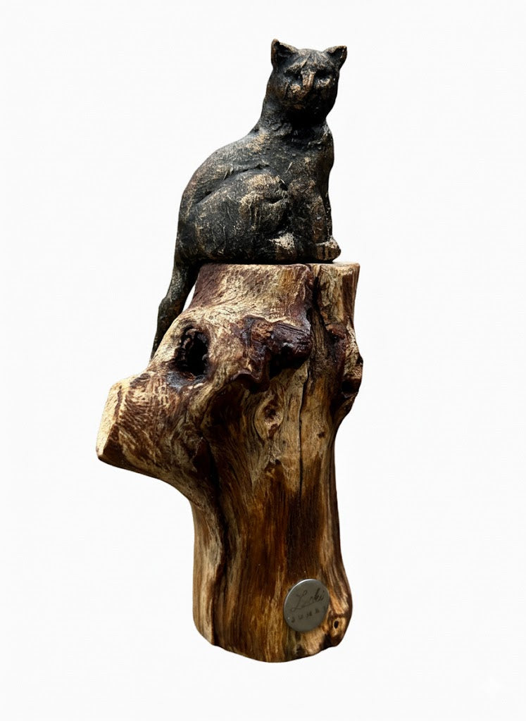 Beeld "Waar de kat waakt"