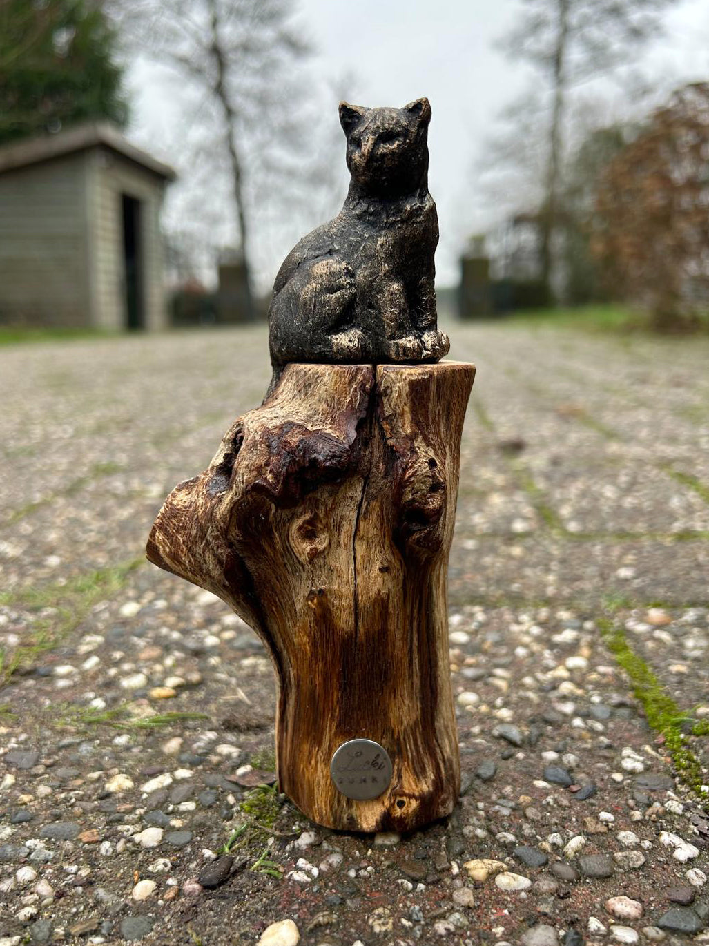 Beeld "Waar de kat waakt"