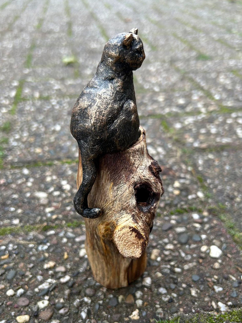 Beeld "Waar de kat waakt"