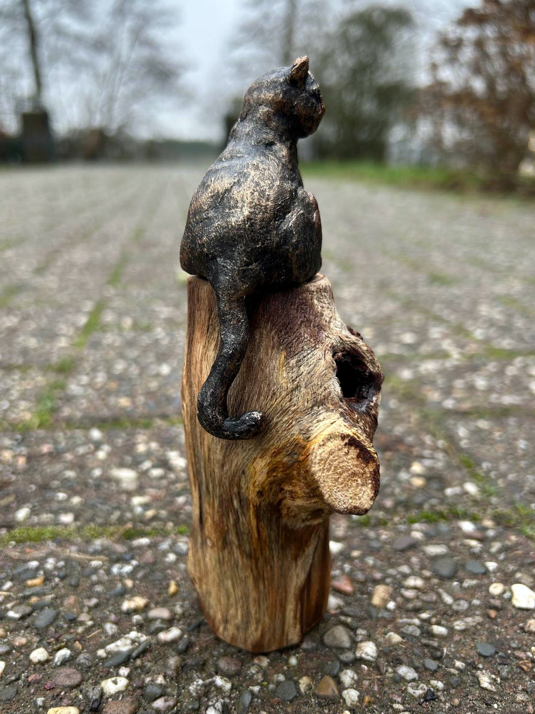 Beeld "Waar de kat waakt"