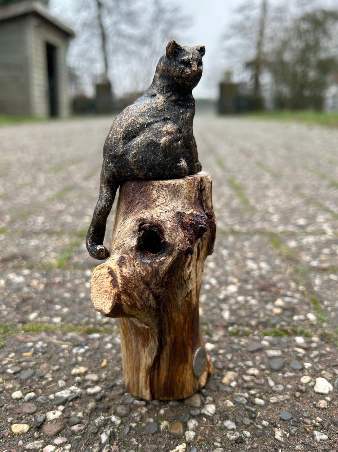 Beeld "Waar de kat waakt"