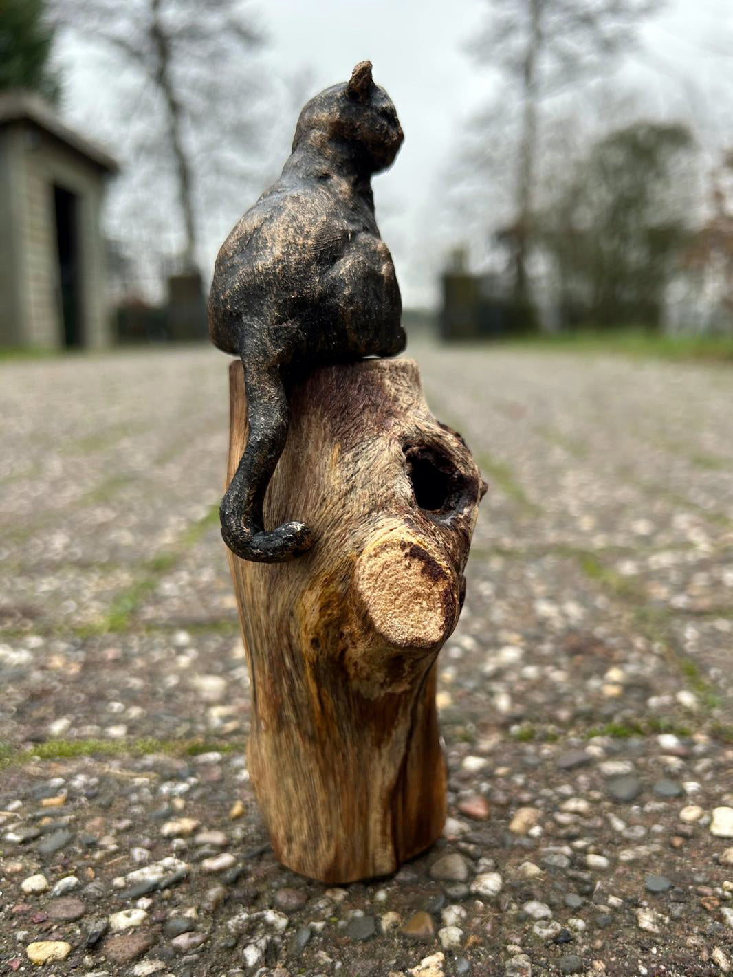 Beeld "Waar de kat waakt"