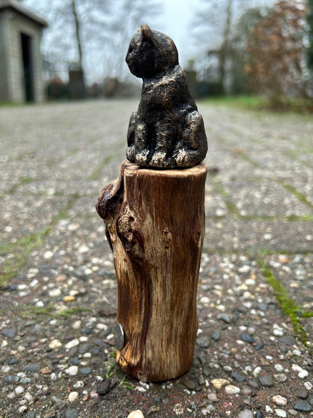 Beeld "Waar de kat waakt"