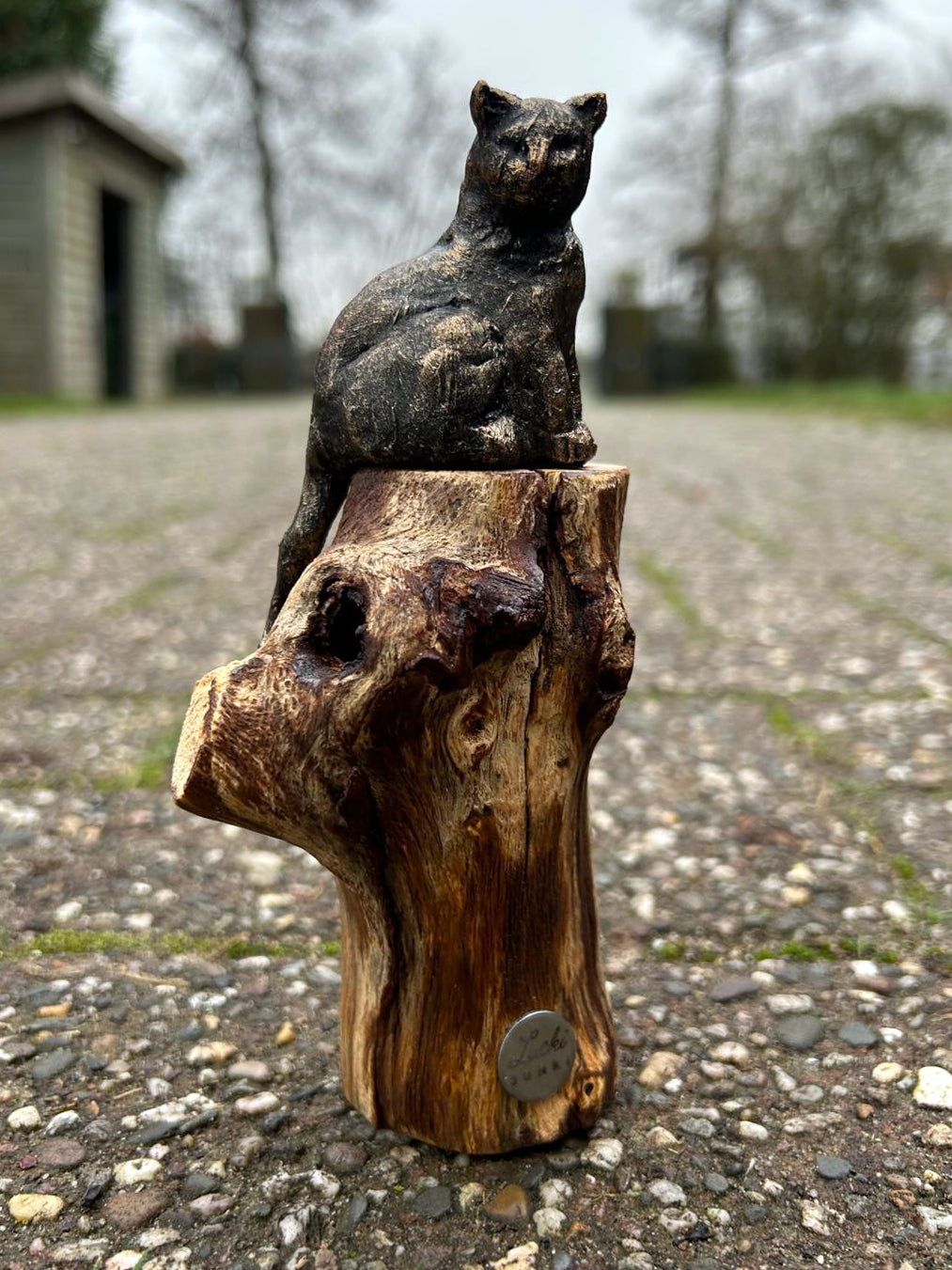 Beeld "Waar de kat waakt"