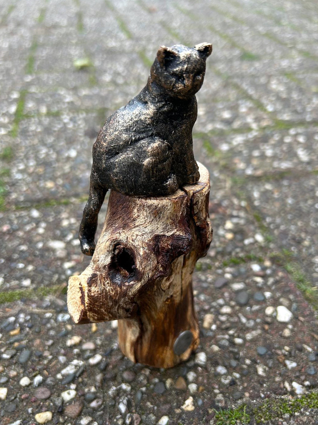 Beeld "Waar de kat waakt"