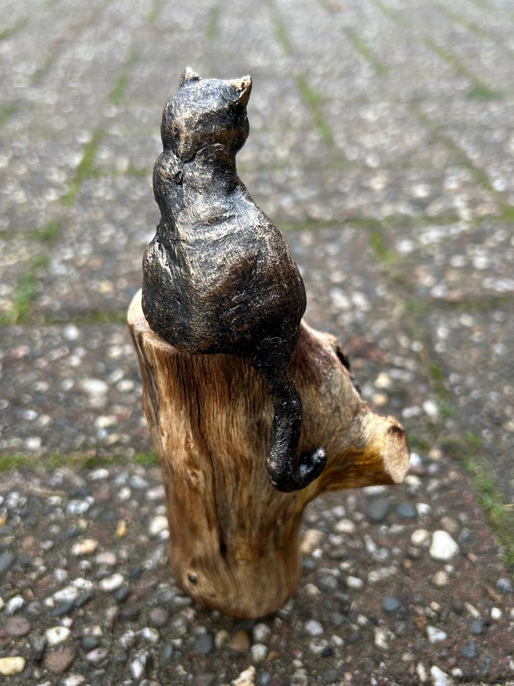 Beeld "Waar de kat waakt"